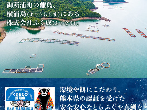 【Firesh®︎】真鯛の塩麴漬け100g※組み合わせ自由！【単品商品】