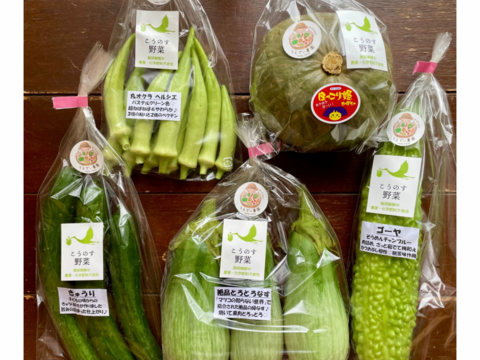 【母の日】濃甘！野菜セット3種類×2倍量 農薬・化学肥料不使用♪個包装【母の日ギフト】
