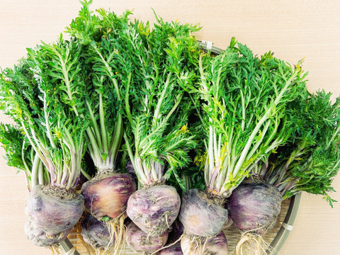 毎朝起きた時に体が重い！
疲れが抜けない！
なんか集中力が続かないって
感じるあなたへ！

千葉県産の生鮮マカ【葉なしマカ200g】