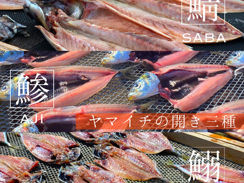 伝統の天日干し製法！ヤマイチの開き【３種】サバ、アジ、イワシ