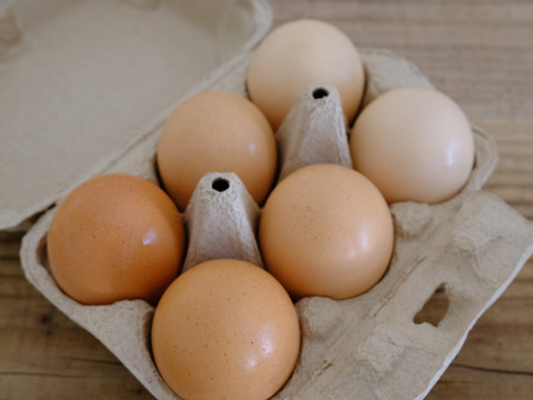 1/20【1日限りの縁起物】放牧鶏の大寒卵2025(6個×2P)