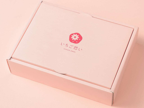 きっと想いが伝わるいちご-越後姫4Lサイズ6個入り