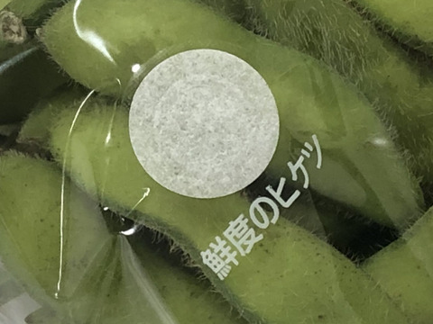 ＜予約＞　6月末頃から順次発送　枝豆（茶豆風味）味よし風味良し　栽培期間中農薬・化学肥料不使用自然栽培（250ｇ×２パック）