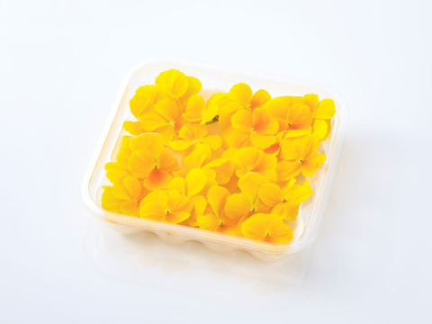 美食の演出！エディブルフラワー『SANOKA』ビオラ クリアイエロー 20輪入り 食用花 ケーキ スイーツ デコレーションにも！