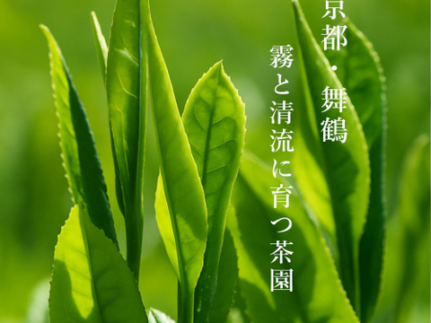 【2026年 新茶・予約】京都・舞鶴 煎茶（50g）｜一番茶・数量限定