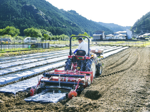 農薬不使用・化学肥料不使用のにんにく2kg！熊野の山々に囲まれ、清流古座川に育まれた土地で作る野菜