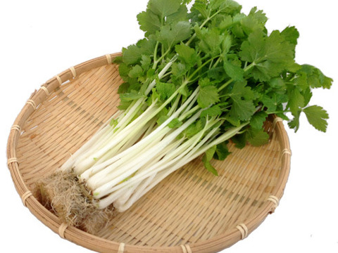 野菜ソムリエ推奨！免疫力を高めるスムージーにおすすめの野菜詰め合わせセット【鮮度抜群！サラダでも食べられる8品目】