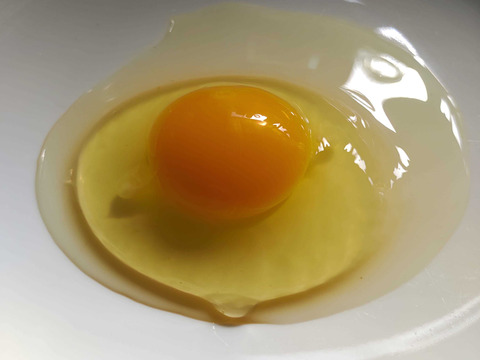 NHKで紹介！【18個】オメガ３が普通の卵の４倍！24時間放牧養鶏卵、(6個×3パック)アローカナの産む幸せの青い卵、下田ブルー！！