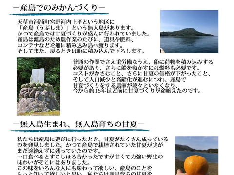 熊本県天草産 農薬不使用 自然栽培 うぶ柑(甘夏) 4.5kg