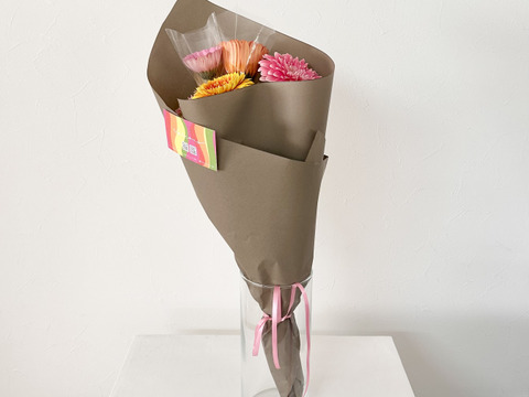 【10本】おまかせ厳選産直ガーベラ / スタンダードから変わり咲きまで贅沢セット (40cm)