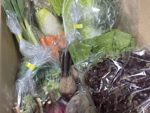 老舗旅館御用達！酵素農法で旨味アップ！【旬の機能性野菜9~10品目セット】