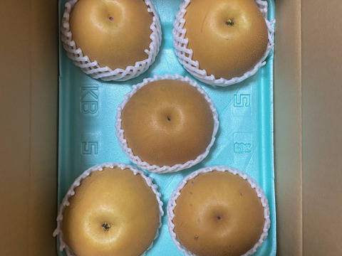 ※訳あり※ 栃木県ブランド梨 にっこり 3㎏