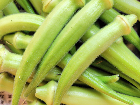 赤白緑オクラ3色セット600g程（計60~80本程） ≪さぬき讃ベジタブル≫