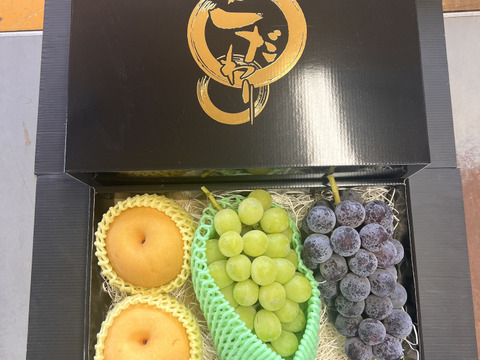 【旬のフルーツセット家庭用】ぶどう 梨 シャインマスカット 大満足 秋の味覚 フルーツ 果物 ゴルフコンペ プレゼント 誕生日ピオーネ