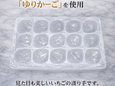 「東京おひさまベリー」(9～20粒入り、約350g×２パック)【贈答用大粒いちご】 東京生まれのニューブランド 　 イチゴ 苺 ギフト スイーツ 果物 プレゼント 贈り物 お礼品 御礼品 誕生日