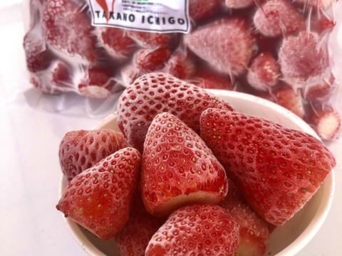 冷凍いちご 1kg(500g×2袋)入りイチゴ農家 直送
