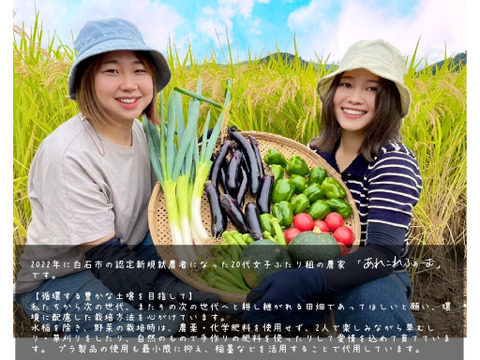 宮城県白石市産ひとめぼれ 自然乾燥米　10kg