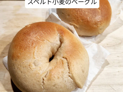 自然栽培 古代小麦『スペルト小麦』精白粉 （800g）