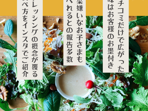 最幸に美味しい！第２回ドレッシング選手権『日本橋三越本店バイヤー賞』受賞★八ヶ岳産★農薬不使用野菜ドレッシング　ラージ♫たっぷりサイズ3本（ビーツ・胡麻・人参）セット