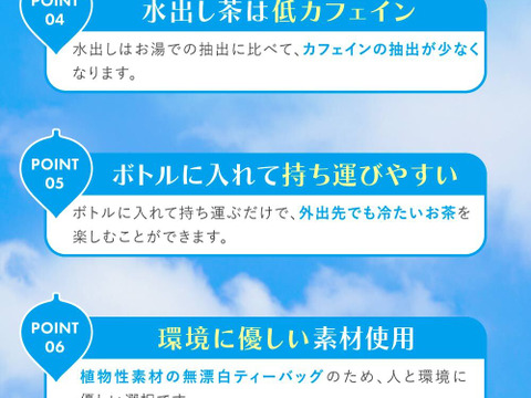 【メール便・単品】＼2ℓに1包／水出しeveryday 深蒸し茶 10ｇ×31ｐ 静岡茶 牧之原茶 夏 冷茶 ボトル 冷蔵庫