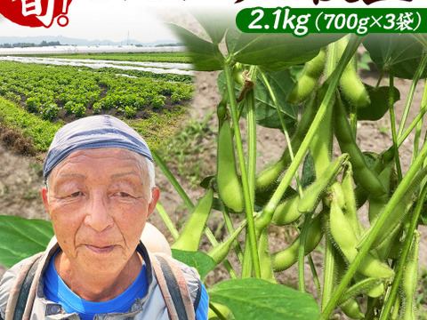 寒暖差のある産地で育てられた、新鮮枝豆！「秋田のいきいき枝豆」700ｇ×3ｐ（令和7年産）