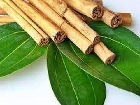 国産シナモンリーフ（乾燥葉）🍃香り豊かなスパイスティー・料理用・ポプリにも