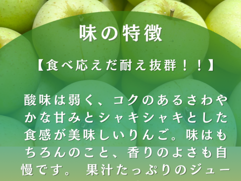 【りんご食べ比べセット】トキ やたか りんご 3kg 採れたて直送 リンゴ 美味しい ギフト 家庭用 美味しいりんご おすすめ 果実 フルーツ ツガル お取り寄せフルーツ お試し 青リンゴ 黄色りんご