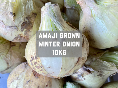【冬に新鮮新玉ねぎ♡】淡路島　甘々うまうま　超極早生　新玉ねぎ（10kg）