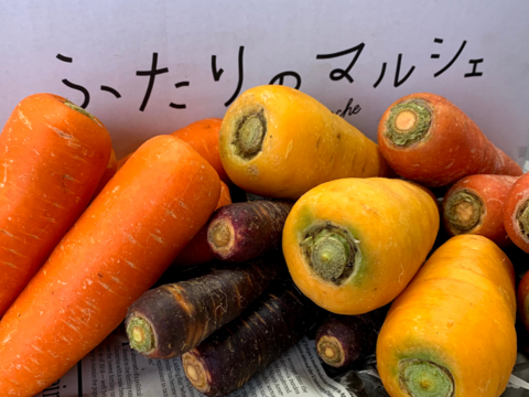 色とりどり！甘さ際立つ雪下にんじん食べ比べセット（計3.5㎏）