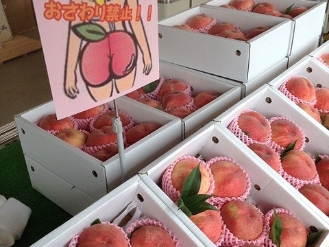 お買い得！まるせい果樹園の桃　おまかせ　1.6k　化粧箱　自家用　贈答用　(4～8玉入り) om5