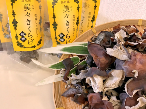 食べたい時にサッと水戻し「鳥取県産」乾燥キクラゲ