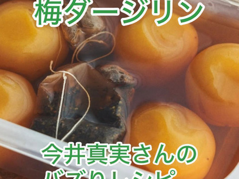 自然栽培 完熟梅（ありがうめ） 850g 下処理不要で梅仕事なんと3