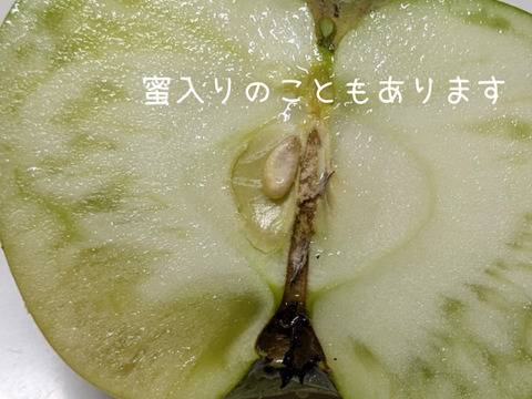 クッキングアップル　ブラムリー約2.3㎏