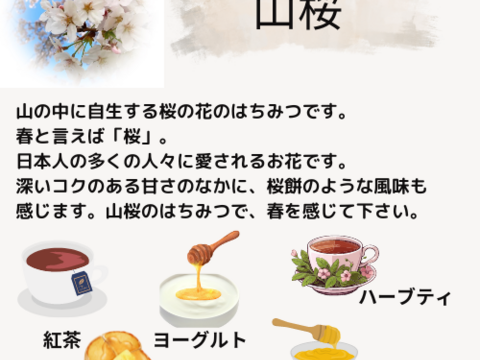 【春採れ】新蜜　非加熱･無添加　国産はちみつ【山桜】500g