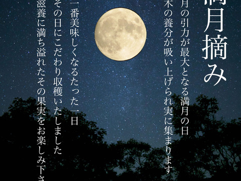 熊本県天草産 農薬不使用 自然栽培 うぶ柑(甘夏) 4.5kg