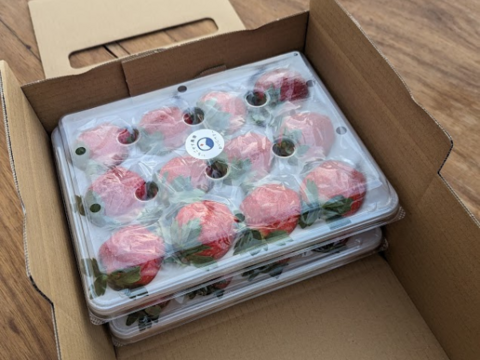 【完熟！食べ比べ】園主のイチオシいちご400g×2トレー