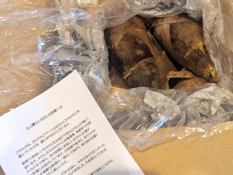 🌸春の味覚🌸【訳あり】たけのこ 8kg(3～7本)