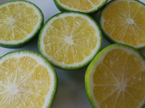 爽やかな香り！自然栽培摘果みかん　４ｋｇ