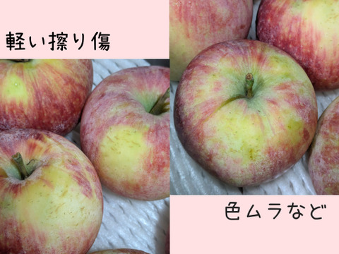 家庭用】シナノリップ約2.7kg ジューシーで香りのよい夏りんご