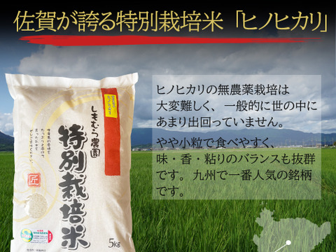 新米予約【R７年産】至高の特別栽培米ヒノヒカリ白米５ｋｇ×２袋【栽培期間中農薬不使用米】