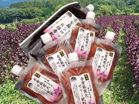 キンモクセイ　無糖６本⑥　赤紫蘇ジュース&ゼリー付き 紫水（赤しそジュース） 1000ml 6本【赤紫蘇】【バイオアグリた