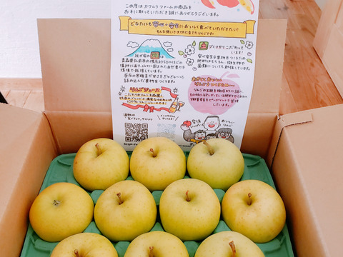 (お試しお得)たっぷり果汁に甘さにキュン葉取らずトキ🍎3kg家庭用