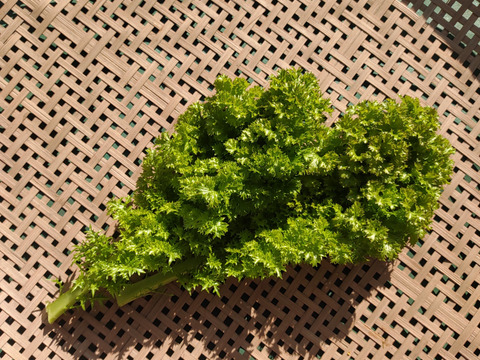 [なゆた農場]冬の葉物野菜セットLサイズ（10袋分）