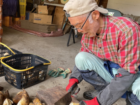 【2026年産】旬の天然タケノコ2kg（富山県氷見産 / ふるさと納税可）/ 栽培期間中、農薬・化学肥料・除草剤不使用［朝掘り採れたて発送］