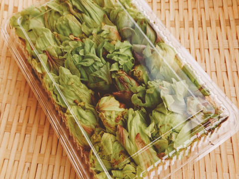 【使いきりサイズ】春の山菜1番手！ふきのとう！(200ｇ)朝採りほろ苦さと香り高い天然もの