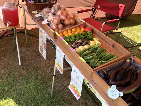 旬の固定種★おまかせ野菜セット★80サイズ