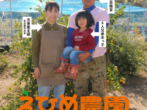 1級　愛媛県産　愛媛果試第２８号　Ｍ〜３Ｌサイズ　８〜１５個　 贈答用　お歳暮　プレゼントに