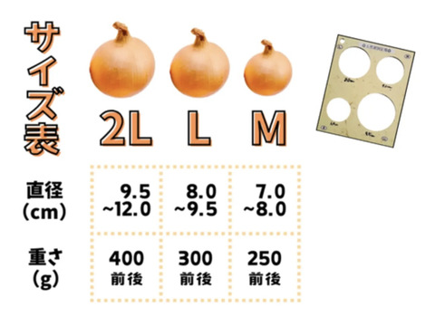 【訳あり】旬の淡路島玉ねぎ！10キロ