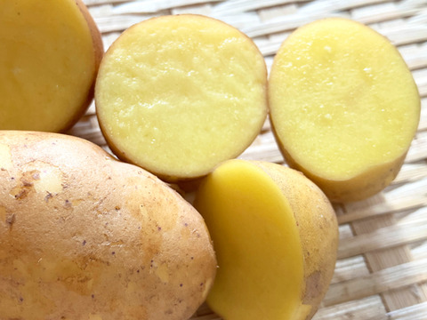 期間限定】今季五代目 濃厚じゃがいも 2Sサイズ 1kg｜残り1点