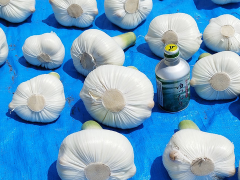 【使い切りやすい】小さめジャンボニンニク　約1.5kg